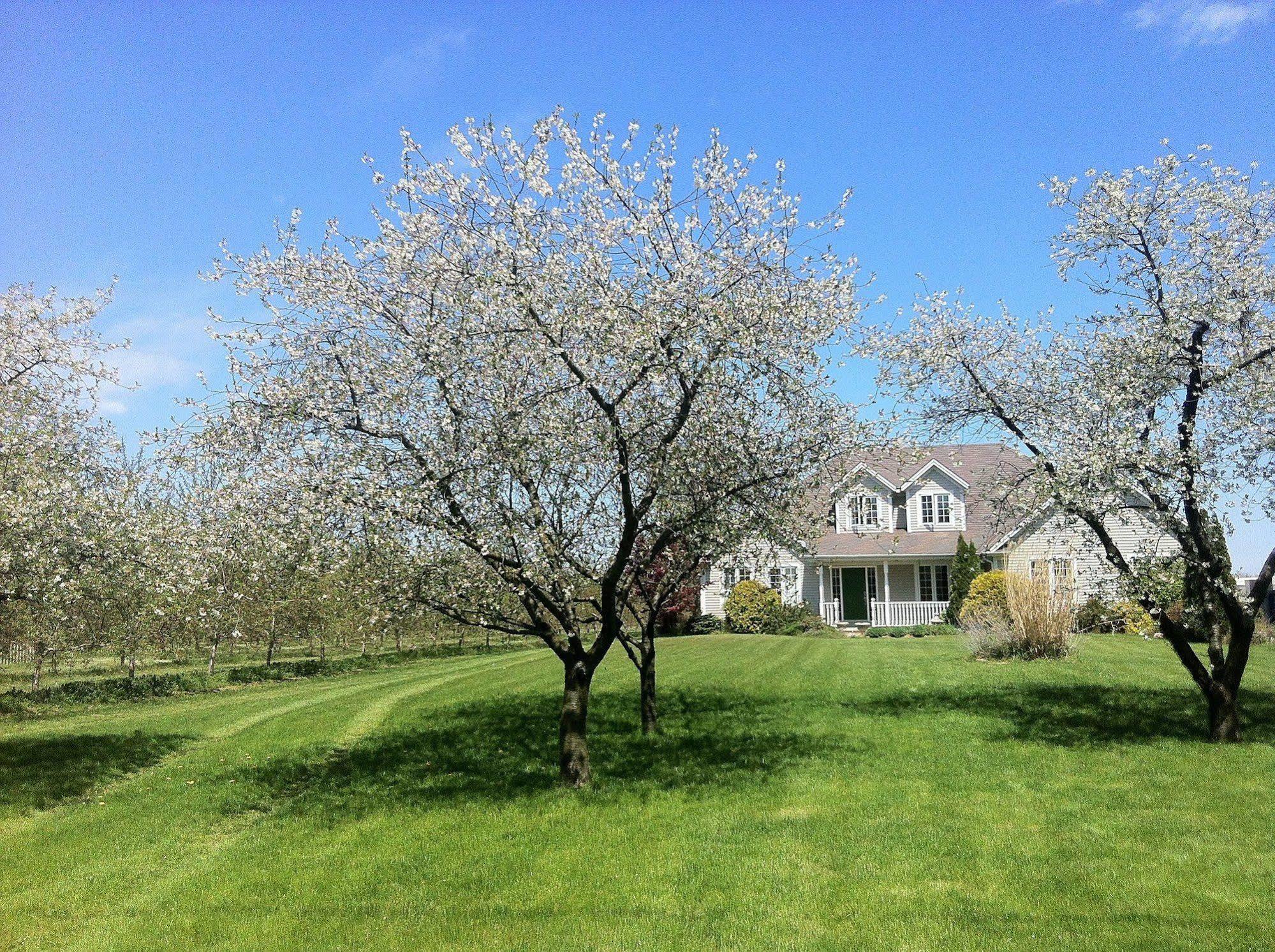 The Orchard Croft Boutique Country Retreat Bed & Breakfast Jordan Dış mekan fotoğraf